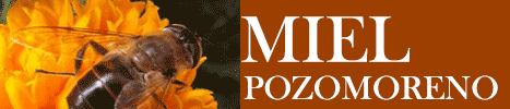 MIEL POZOMORENO